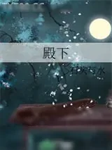 《殿下》小说封面