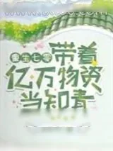《重生七零：带着亿万物资当知青》小说封面