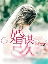 《婚谋已久》小说封面