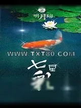《七星彩》小说封面