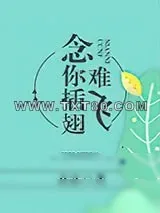 《念你插翅难飞》小说封面
