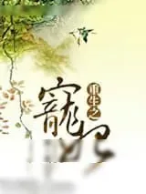 《重生之宠妃》小说封面