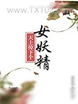 《天上掉下个美娇娘》小说封面