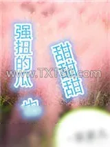《强扭的瓜超甜甜甜》小说封面