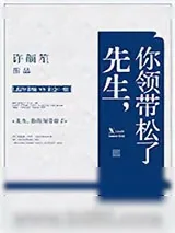 《先生，你领带松了》小说封面