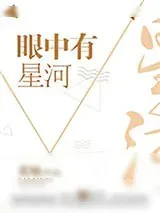 《眼中有星河》小说封面