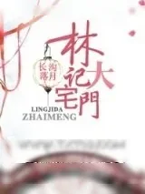 《林记大宅门》小说封面