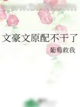 《文豪文原配不干了》小说封面