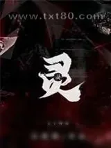 《灵》小说封面