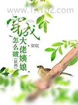 《穿成大佬姨娘怎么破》小说封面