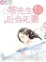 《黎先生，后会无妻》小说封面