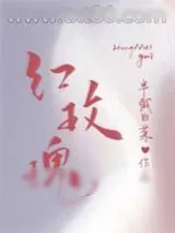 《红玫瑰》小说封面