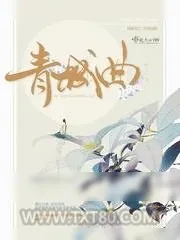 《青城曲》小说封面
