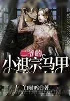 《二爷的小祖宗马甲掉一地》小说封面