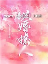 《以婚撩人》小说封面