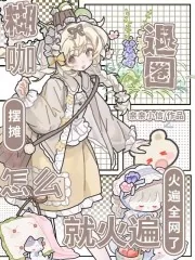 《糊咖退圈摆摊,怎么就火遍全网了》小说封面