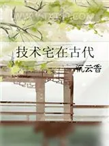 《技术宅在古代》小说封面