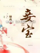 《妾宝》小说封面