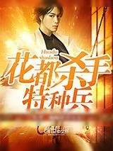 《花琉璃司徒锦》小说封面
