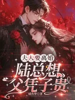 《夫人要离婚，陆总想父凭子贵》小说封面