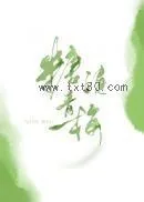 《糖渍青梅》小说封面