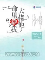《大佬他命里缺我》小说封面