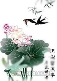 《王谢留燕华》小说封面