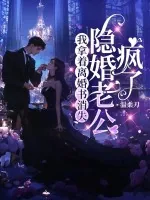 《我拿着离婚书消失，隐婚老公疯了》小说封面