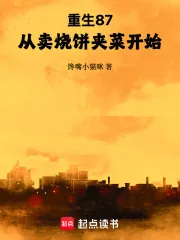 《重生87,从卖烧饼夹菜开始》小说封面