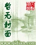 《娱乐之天皇》小说封面