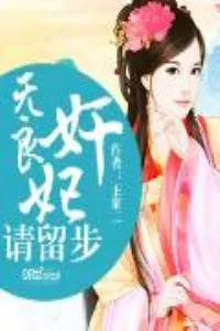 《无良奸妃请留步》小说封面