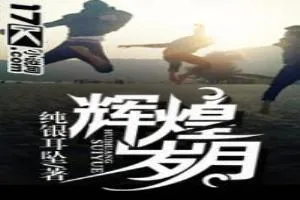 《我家有个金克斯》小说封面