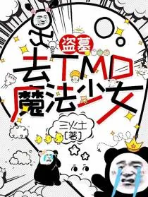 《盗墓：去TMD的魔法少女！》小说封面