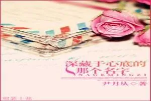 《深藏于心底的那个名字》小说封面