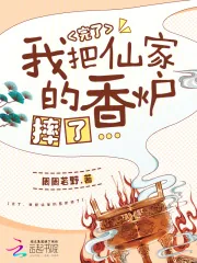 《完了，我把仙家的香炉摔了》小说封面