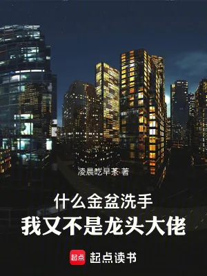 《什么金盆洗手,我又不是龙头大佬》小说封面
