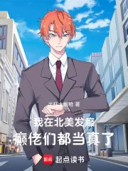 《我在北美发癫,癫佬们都当真了》小说封面