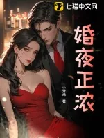 《婚夜正浓》小说封面