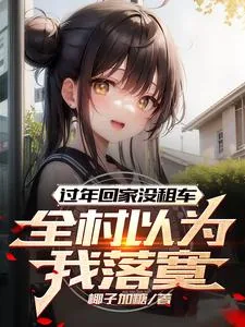 《过年回家没租车,全村以为我落寞》小说封面