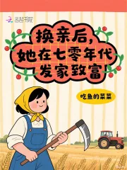 《换亲后，她在七零年代发家致富》小说封面
