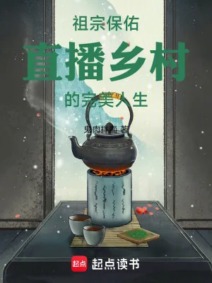 《祖宗保佑：直播乡村的完美人生》小说封面