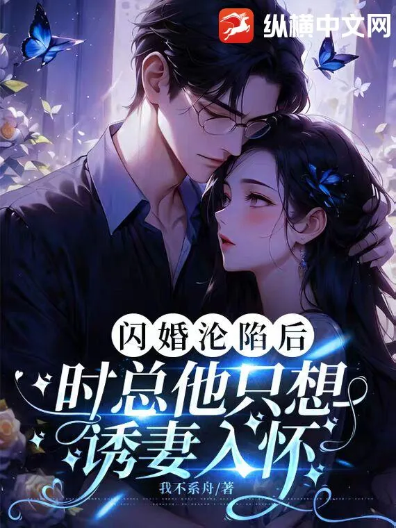 《闪婚沦陷后,时总他只想诱妻入怀》小说封面