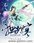 《独步紫寒》小说封面