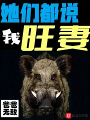 《她们都说我旺妻》小说封面