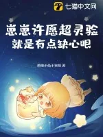 《崽崽许愿超灵验,就是有点缺心眼》小说封面