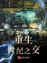 《重生世纪之交》小说封面