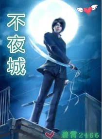 《不夜城》小说封面