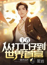 《王者:从打工仔到世界首富》小说封面