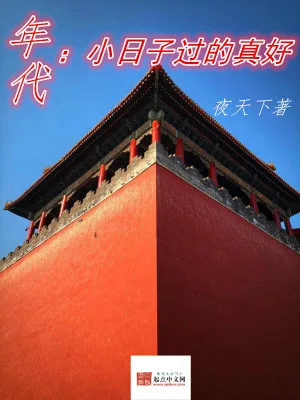 《年代:小日子过的真好》小说封面