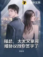 《陆总，太太又拿离婚协议找你签字了》小说封面
